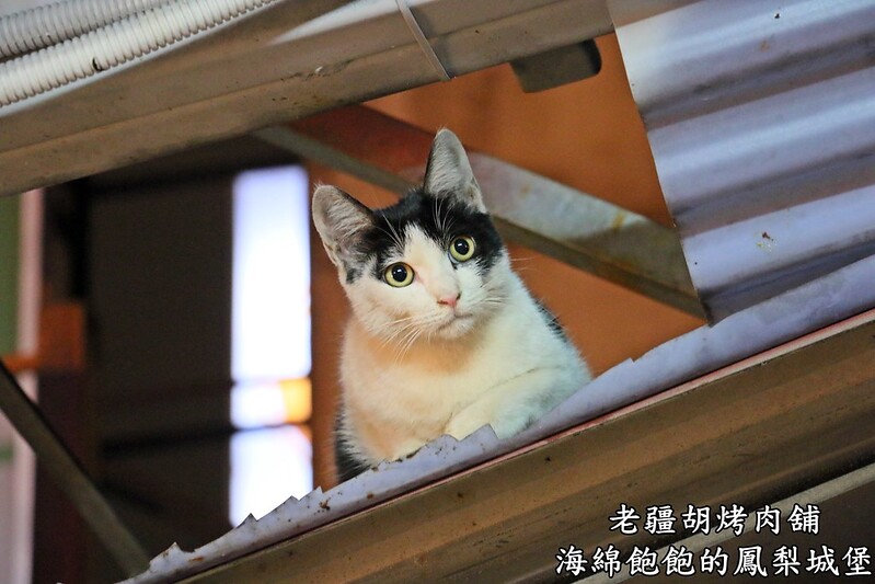 【台北|中山】老疆胡烤肉舖-伊通街超強平價串燒-東森新聞專題採訪報導-串燒/麻辣火鍋/復古電玩遊戲機/水果燒酒/烤鮟鱇魚/免費WIFI(捷運松江南京站) @海綿飽飽的鳳梨城堡