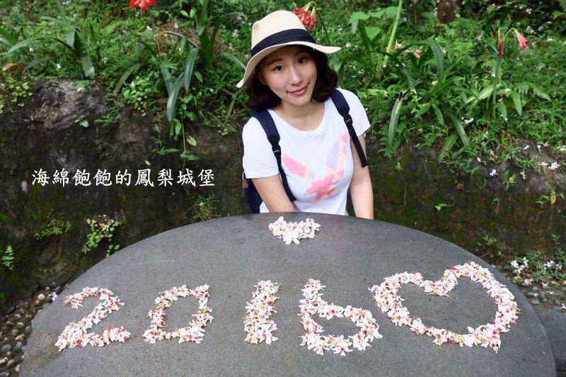 【新北|汐止】翠湖賞桐五月雪/北部油桐花景點推薦/爬山健行/金龍湖/交通指南/賞桐注意事項(2016.05.02花況) @海綿飽飽的鳳梨城堡