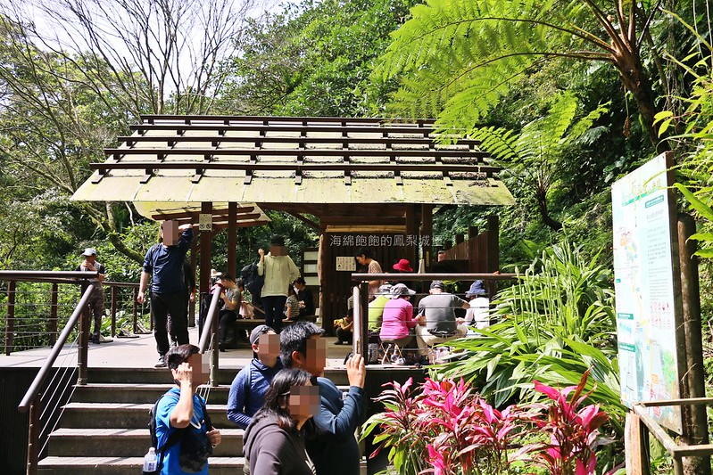 抹茶山/聖母山莊/三角崙山/聖母朝聖地/五峰旗瀑布｜宜蘭礁溪景點，IG網美必遊抹茶山！交通、注意事項、住宿申請 @海綿飽飽的鳳梨城堡