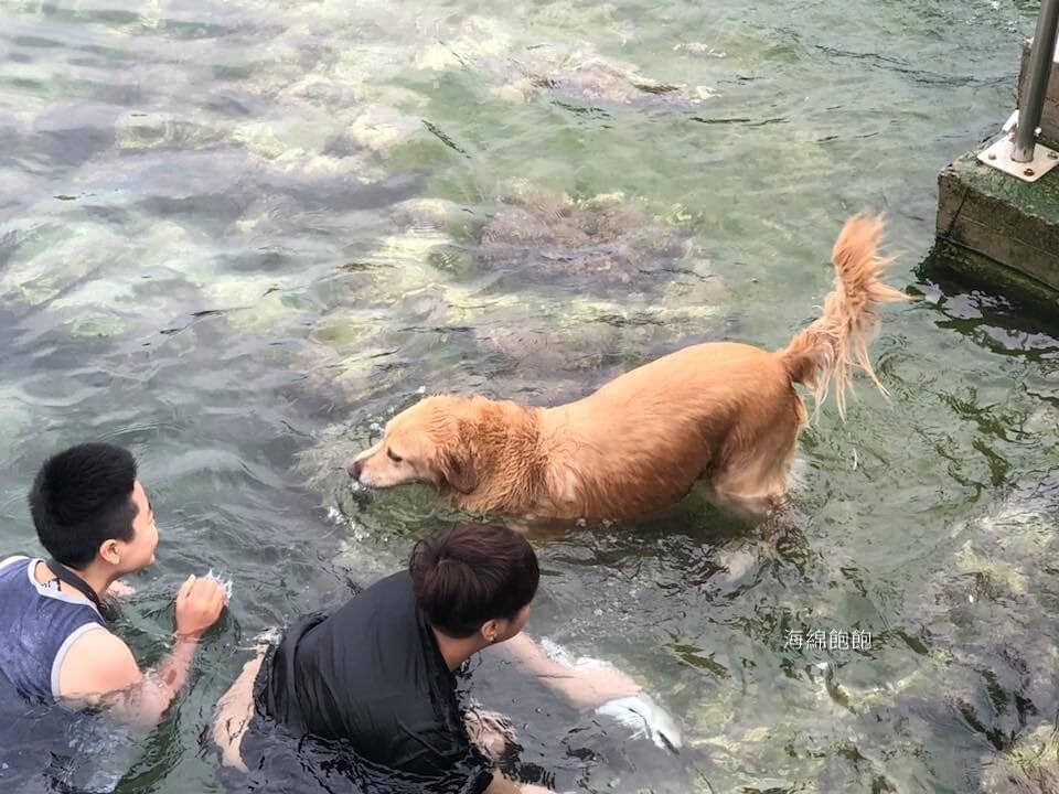 外木山海興游泳池｜基隆玩水景點、免門票、親子浮潛玩水、停車場 @海綿飽飽的鳳梨城堡