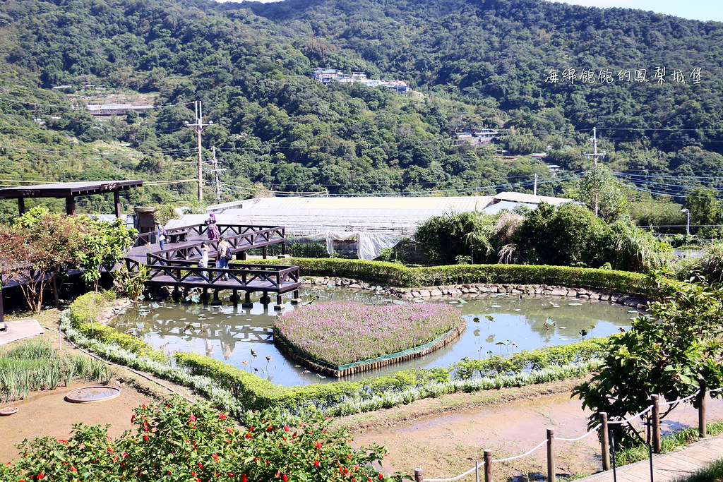內湖碧山巖櫻花隧道粉嫩登場！白石湖、龍船岩、景觀咖啡廳 @海綿飽飽的鳳梨城堡